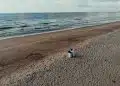 two people sits on sand beside seashore during daytime