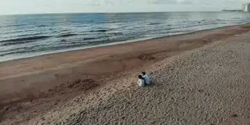 two people sits on sand beside seashore during daytime